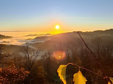 8b156fad-fb43-4ffb-831b-8c787cf2fa96