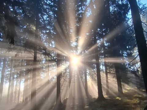 1e3a3661-68b6-4127-bc79-06f7c006c0a0